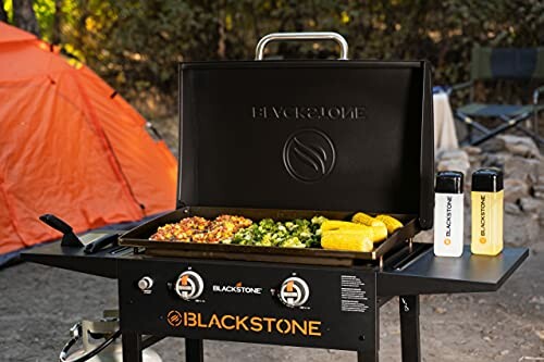 Outdoor camping grill with vegetables and corn