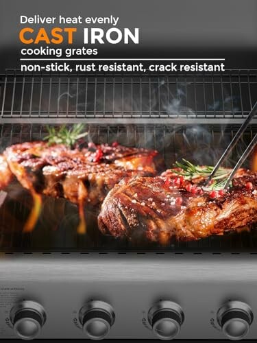 Steaks on cast iron cooking grates with grill features listed.