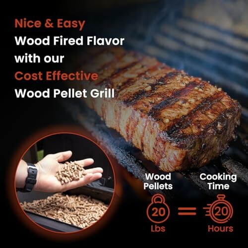 Wood pellet grill promoting wood-fired flavor and cost effectiveness with image of grilled meat and wood pellets.